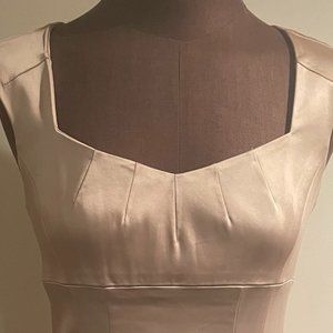 Champagne  Calvin Klein Party Dress